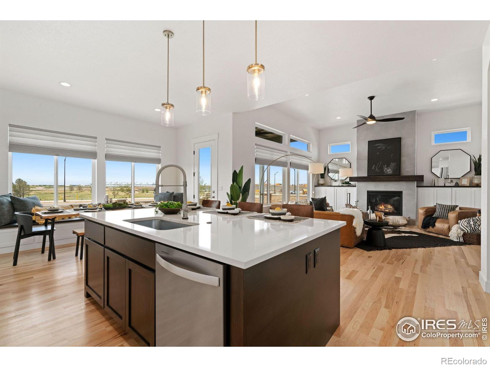 3691 N Buchanan Court Aurora CO 80019