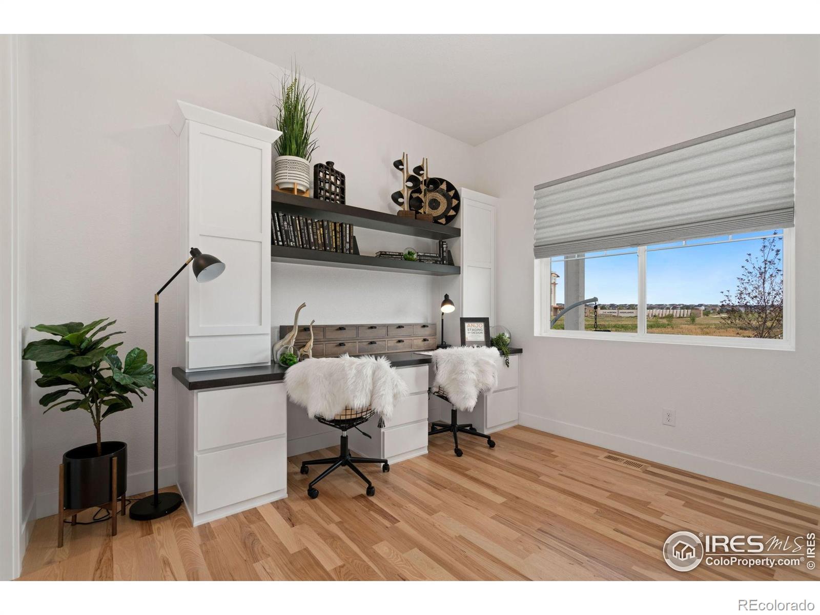 3691 N Buchanan Court Aurora CO 80019