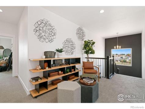 3691 N Buchanan Court Aurora CO 80019