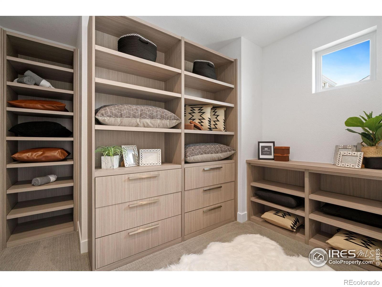 3691 N Buchanan Court Aurora CO 80019