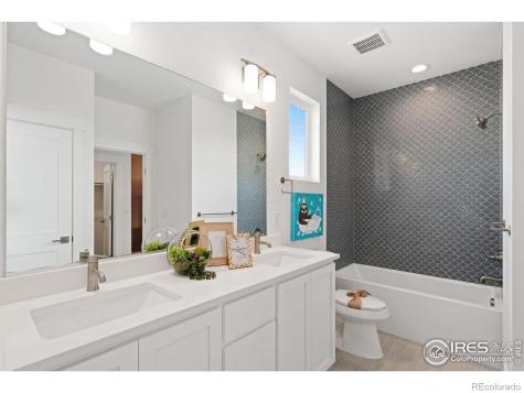 3691 N Buchanan Court Aurora CO 80019