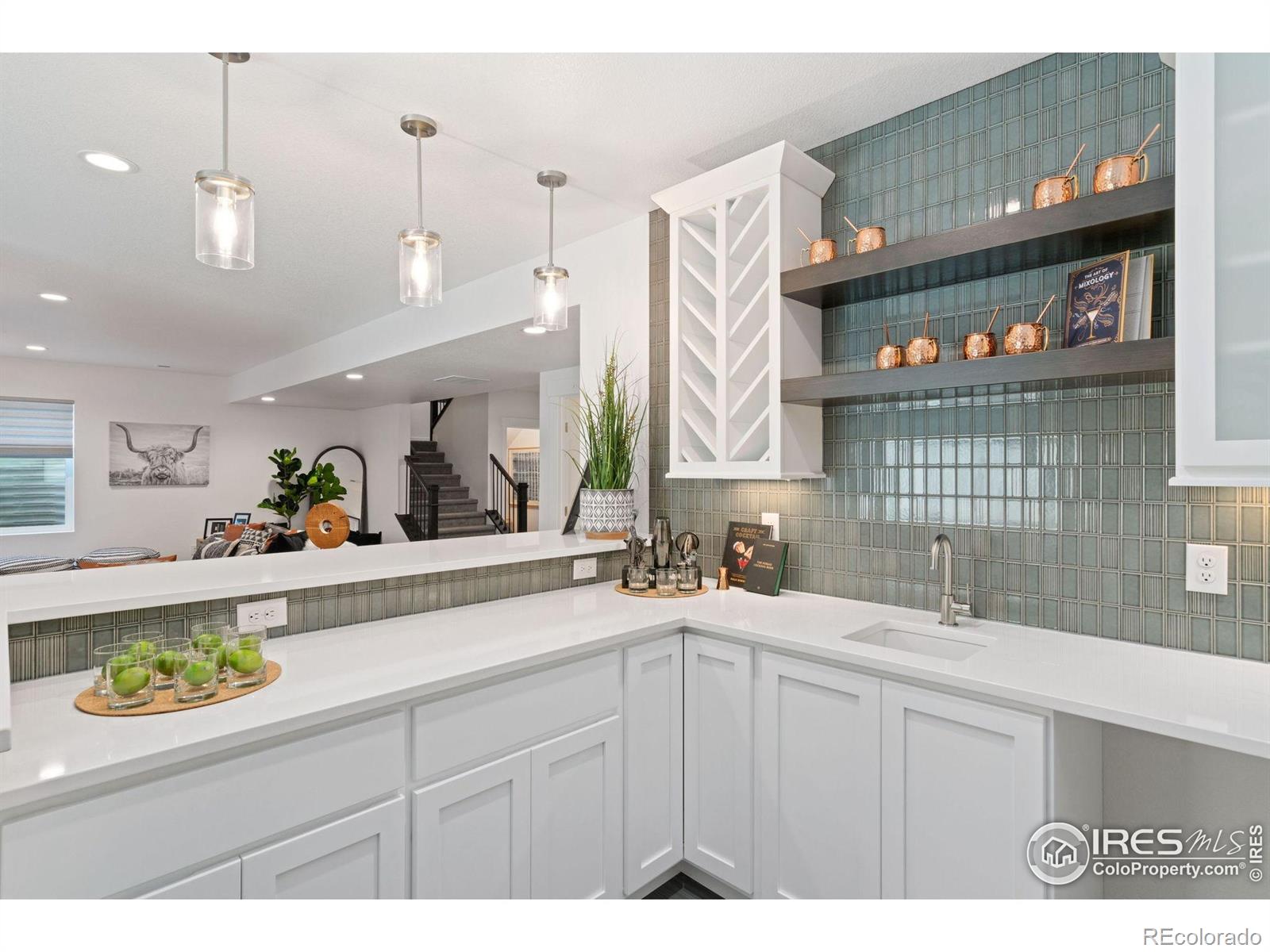 3691 N Buchanan Court Aurora CO 80019