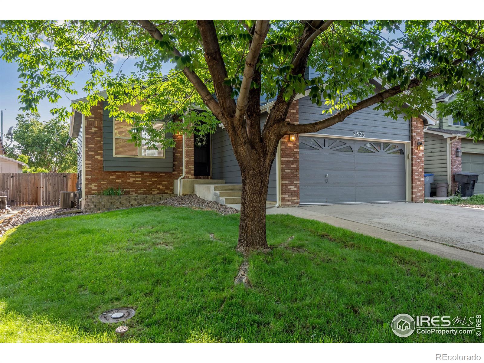 2325 Steele Street Longmont CO 80501