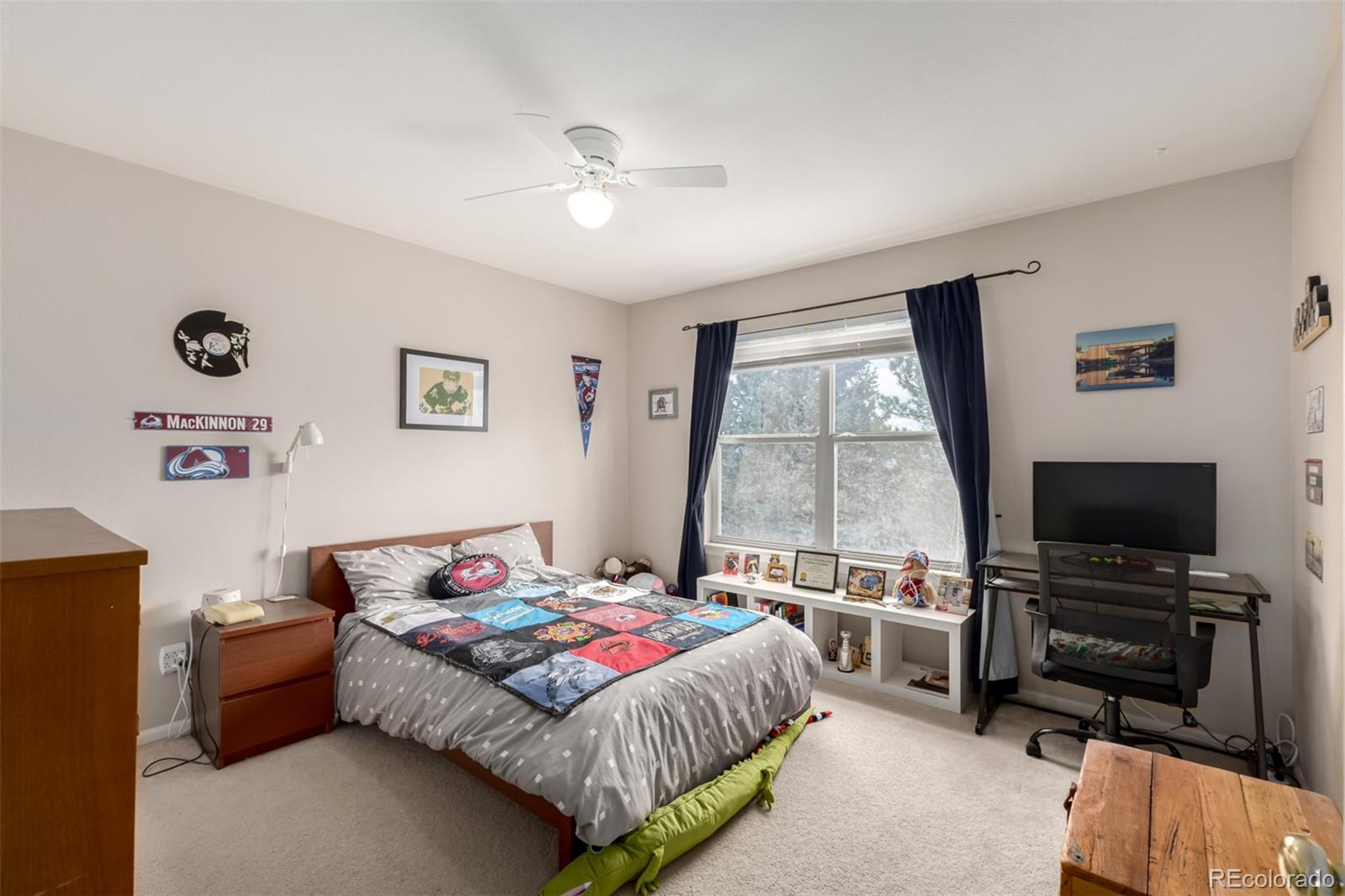 707 Huntington Place Highlands Ranch CO 80126