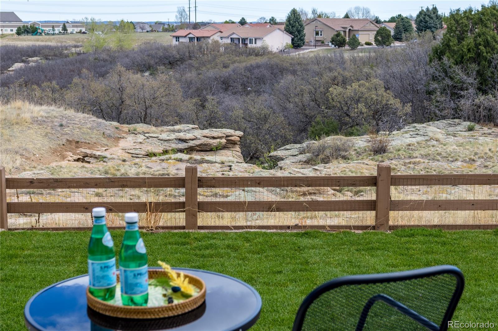 588 Silver Rock Trail Castle Rock CO 80104
