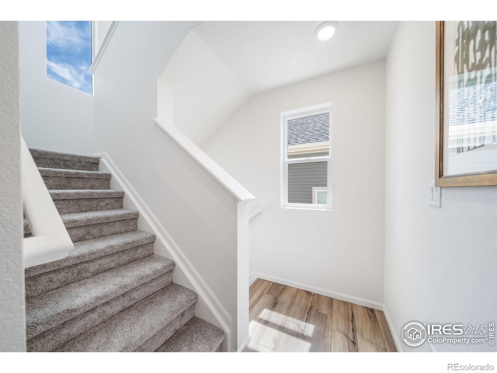 5246 Melvick Lane Johnstown CO 80534