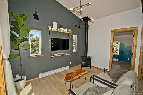 4352 Rarity Way Crestone CO 81131
