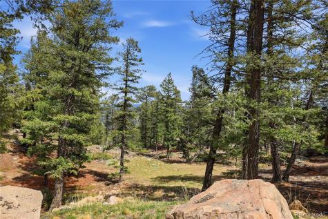 24073 Peak Drive Conifer CO 80433