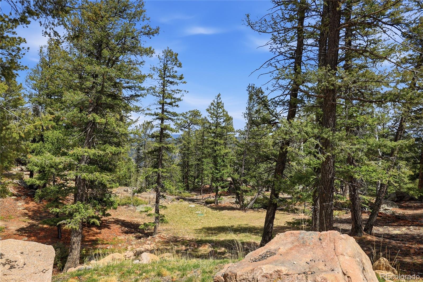 24073 Peak Drive Conifer CO 80433