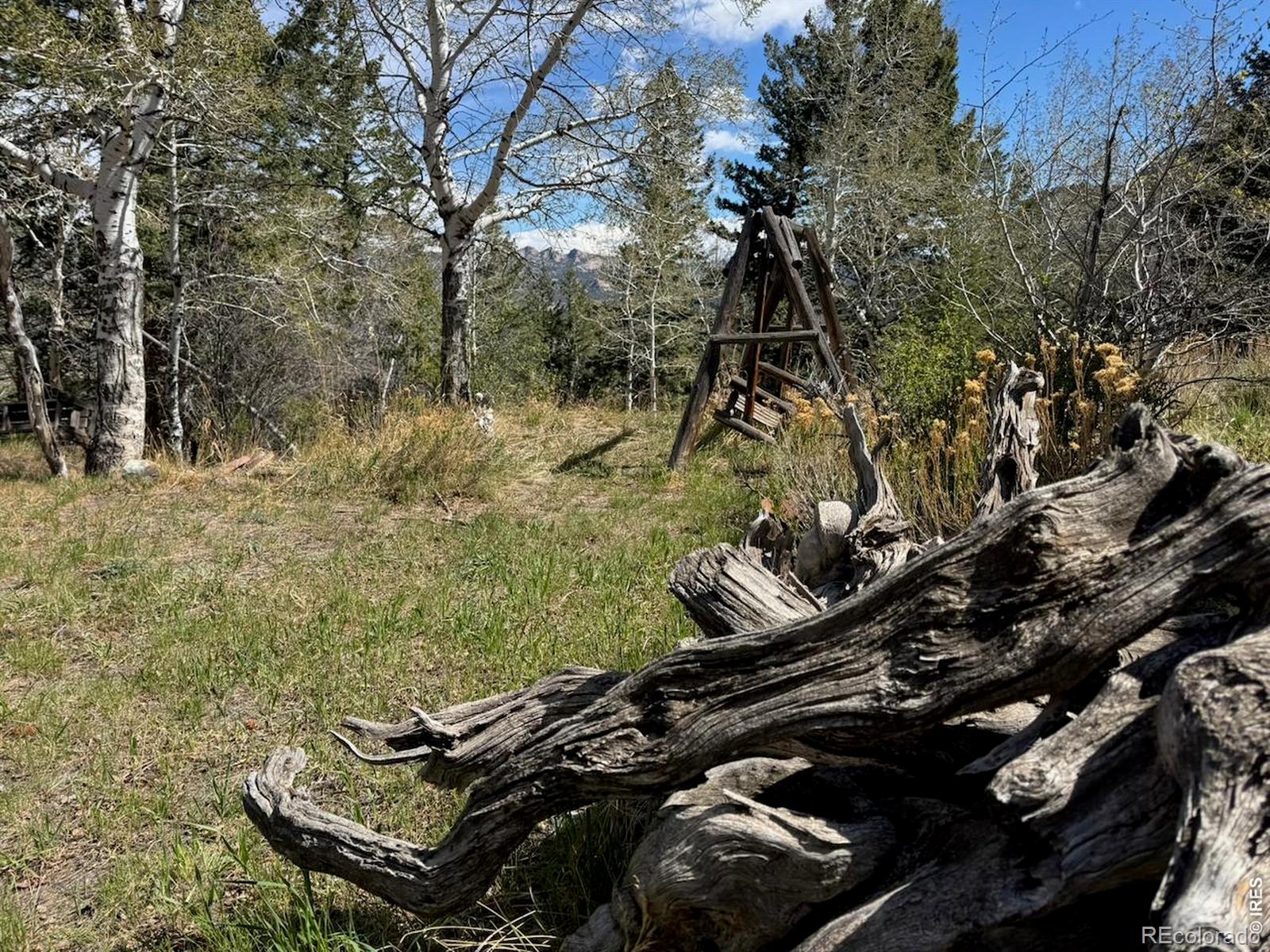 1241 Giant Track Road Estes Park CO 80517