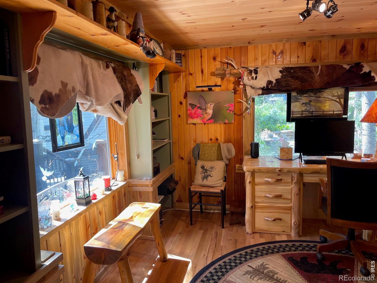 124 Ski Road Allenspark CO 80510