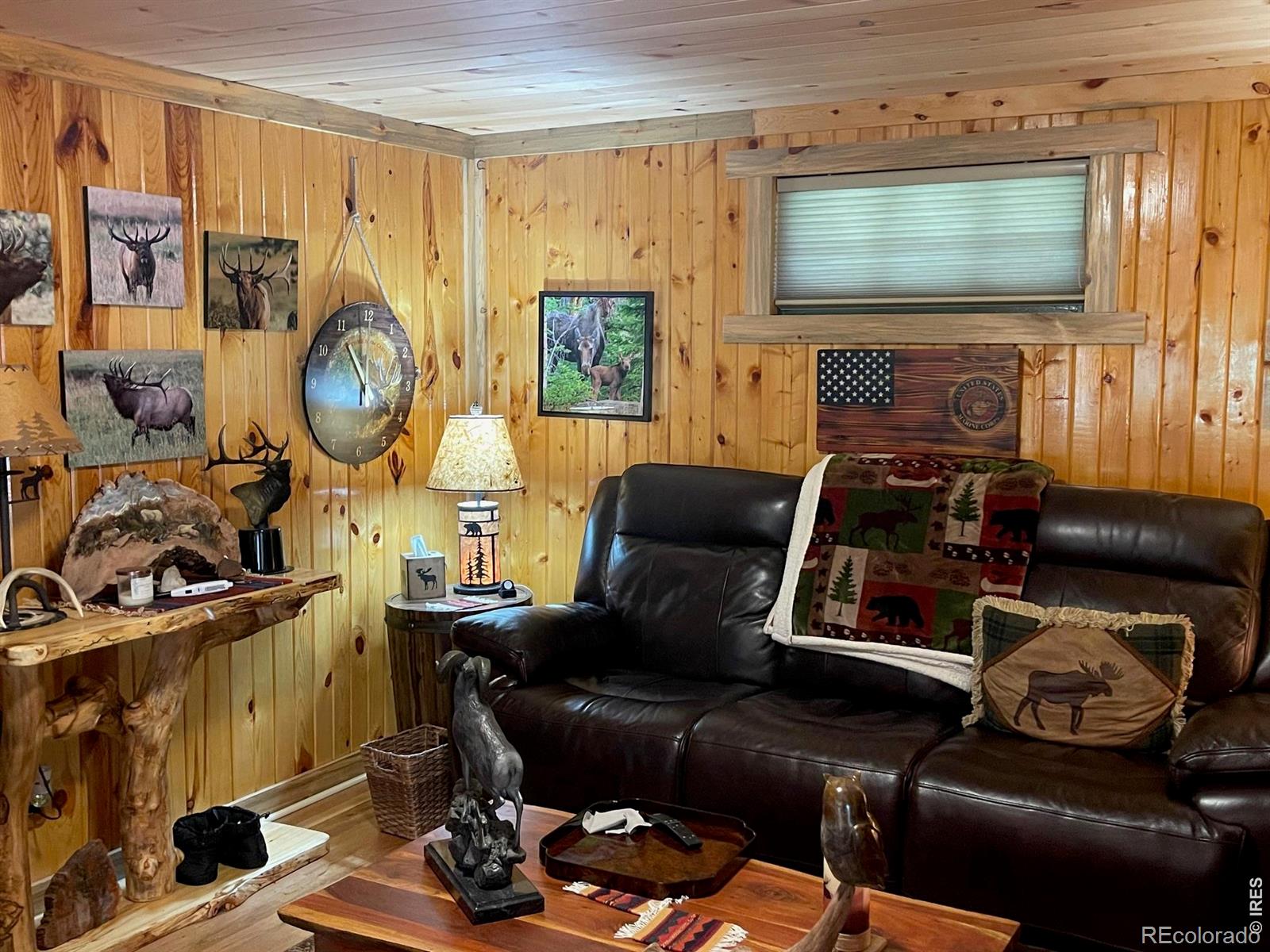 124 Ski Road Allenspark CO 80510