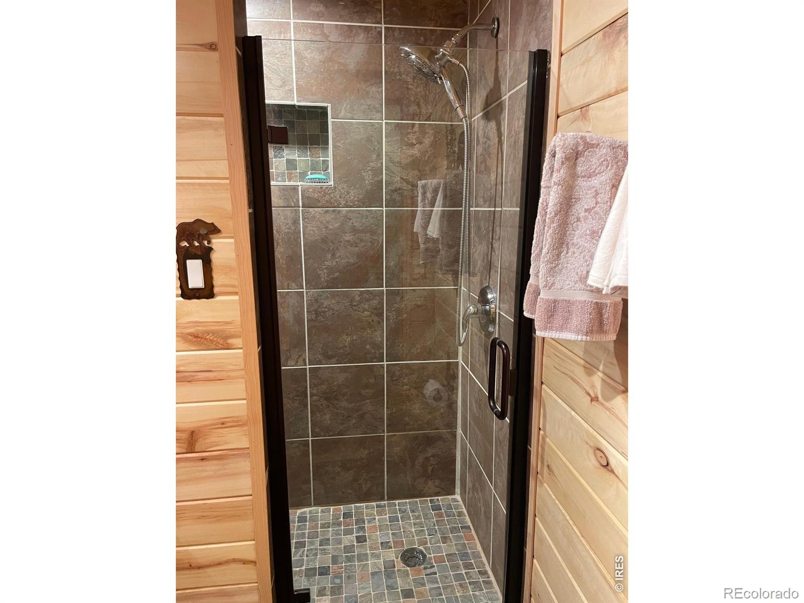 124 Ski Road Allenspark CO 80510
