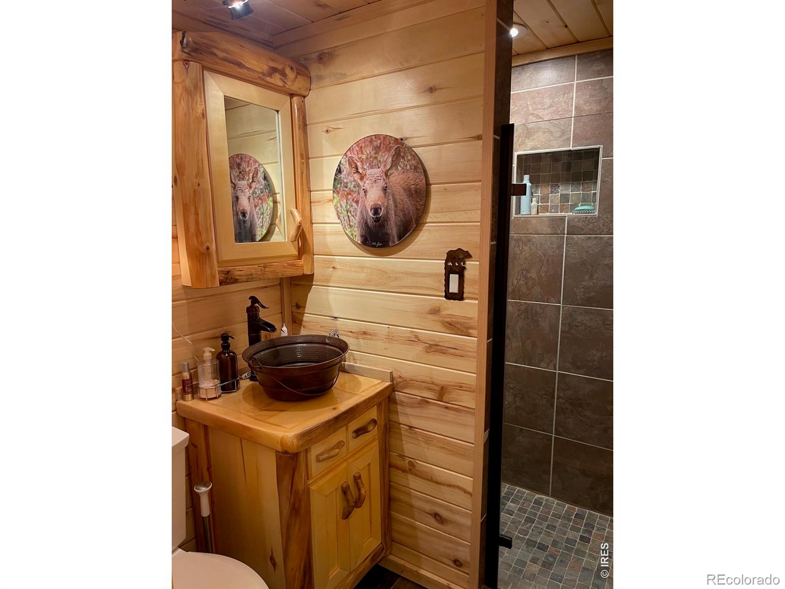 124 Ski Road Allenspark CO 80510