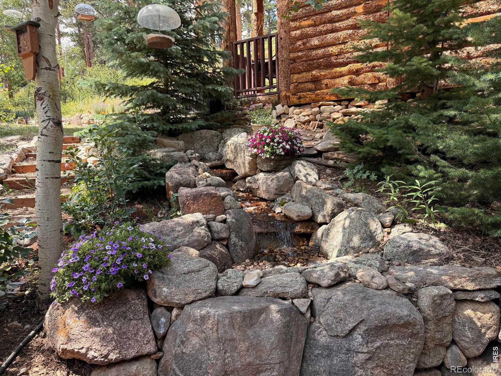 124 Ski Road Allenspark CO 80510