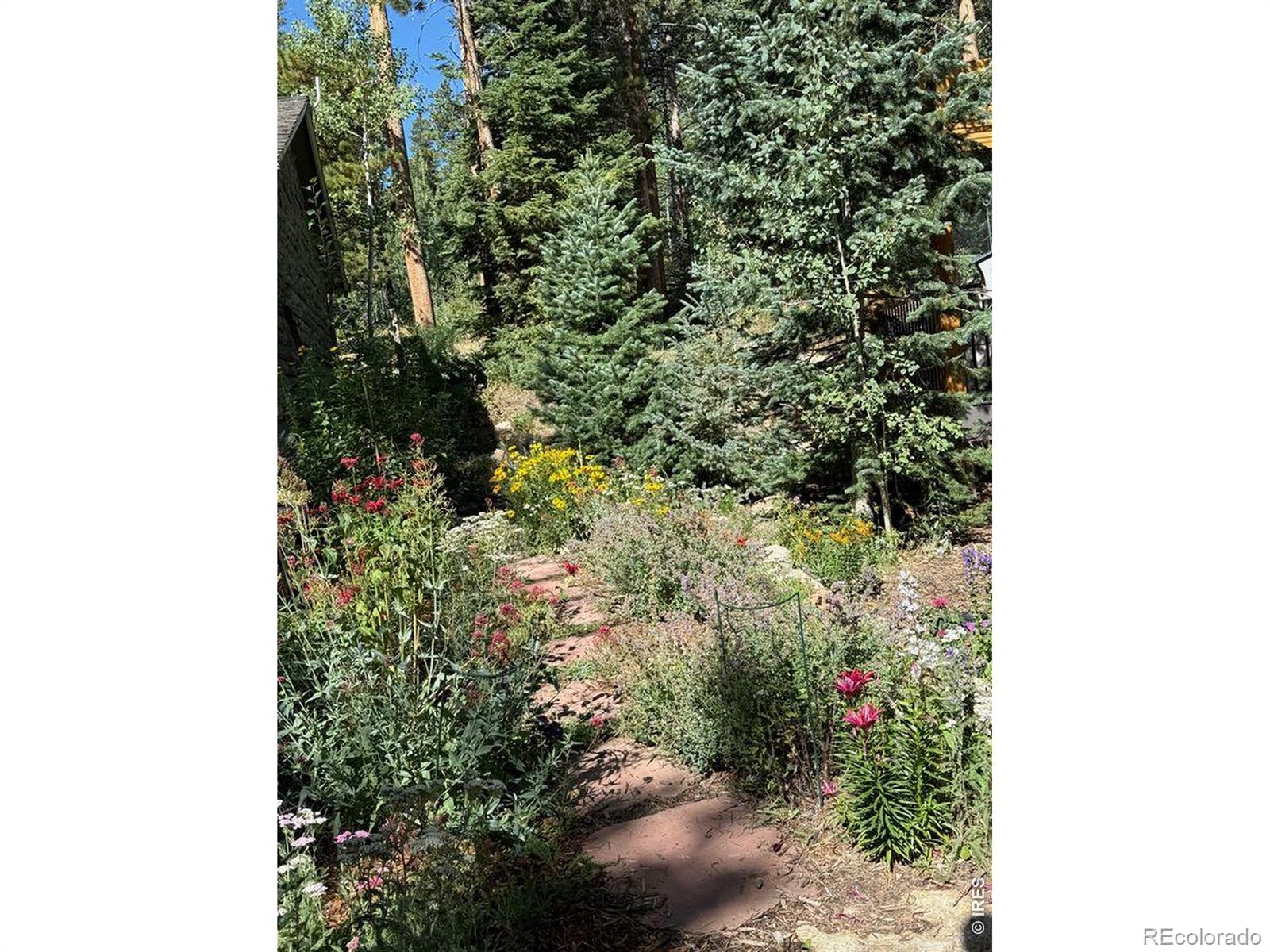 124 Ski Road Allenspark CO 80510