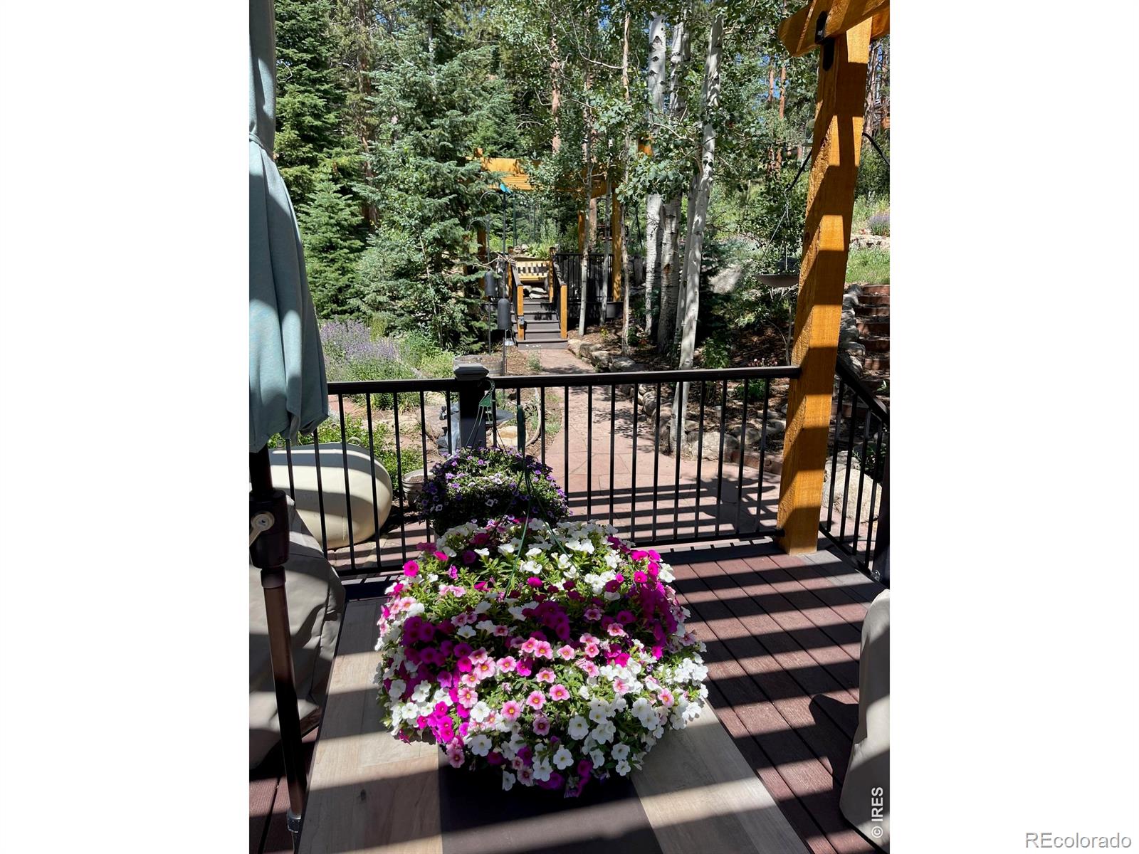 124 Ski Road Allenspark CO 80510