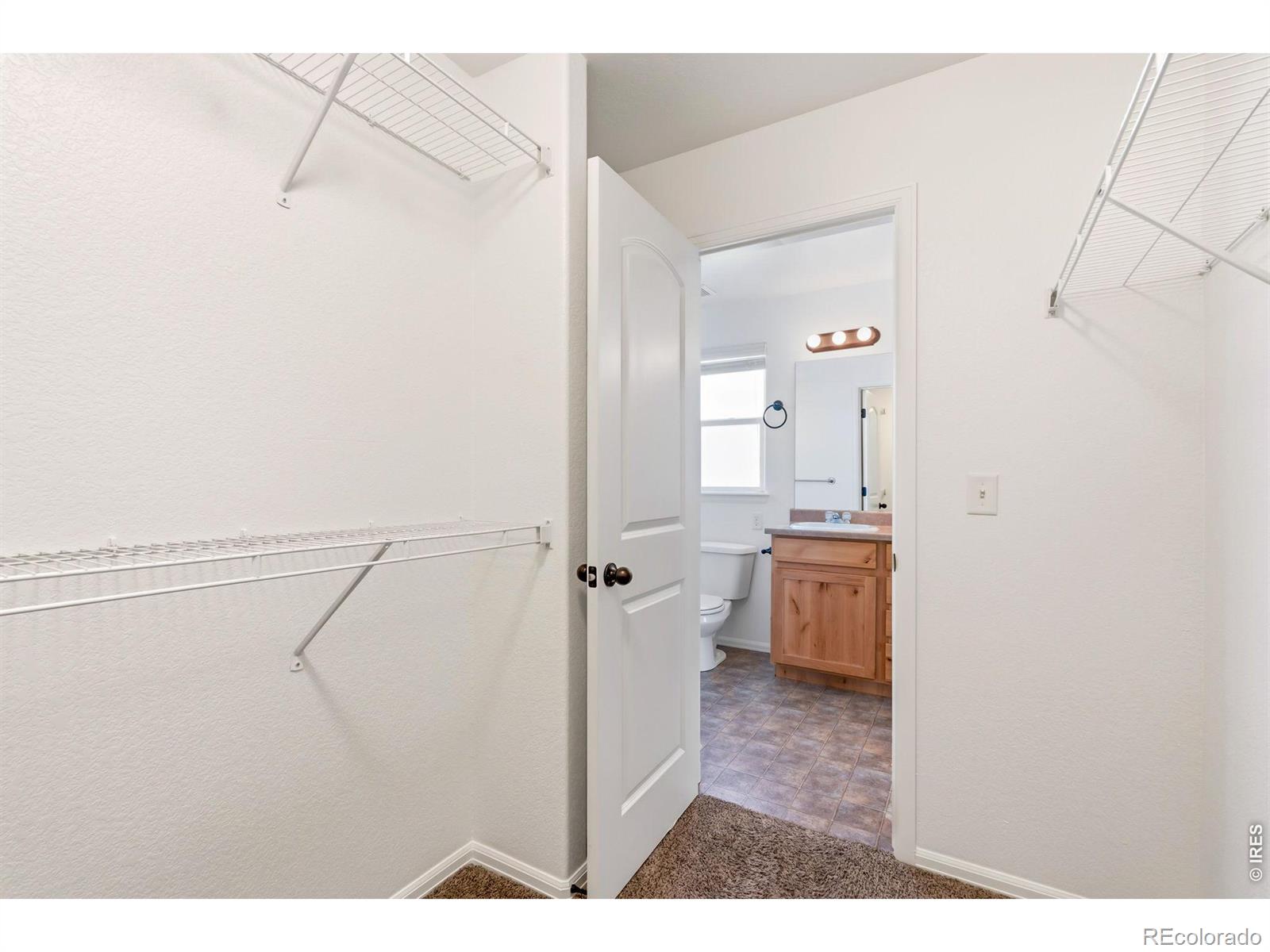 245 Pinebrook Court Windsor CO 80550