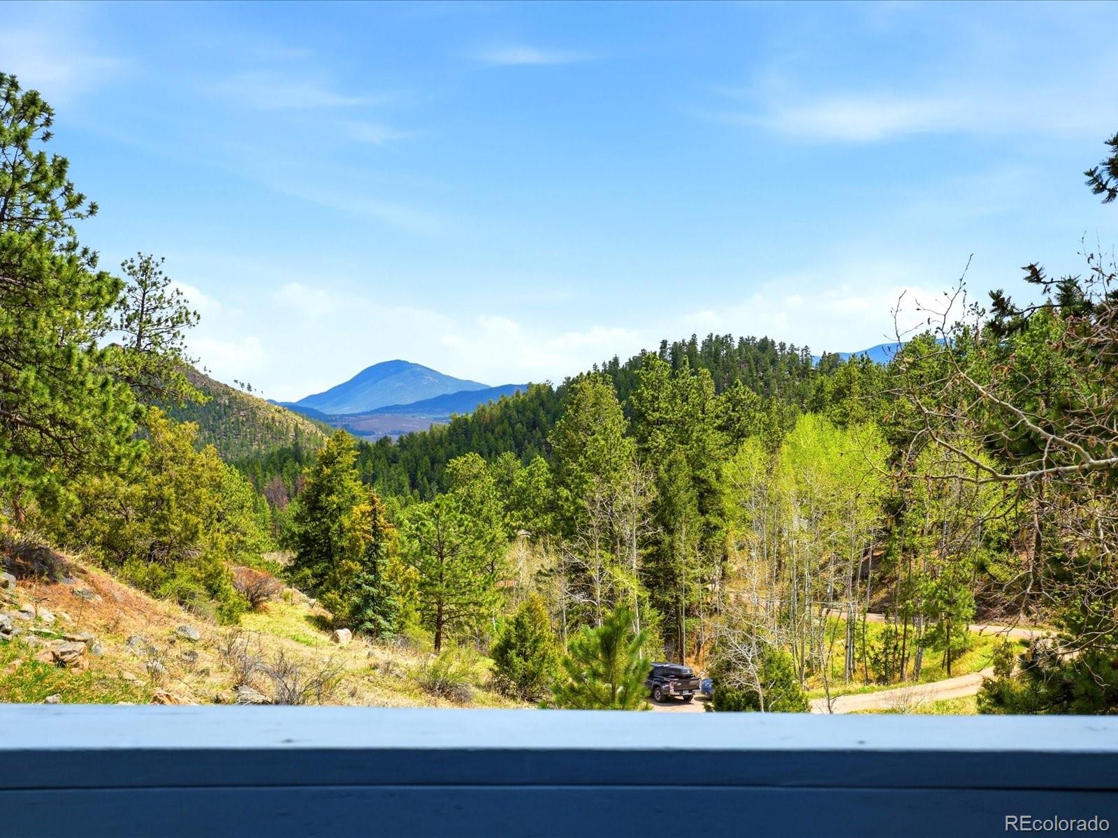 204 Bob Cat Trail Bailey CO 80421