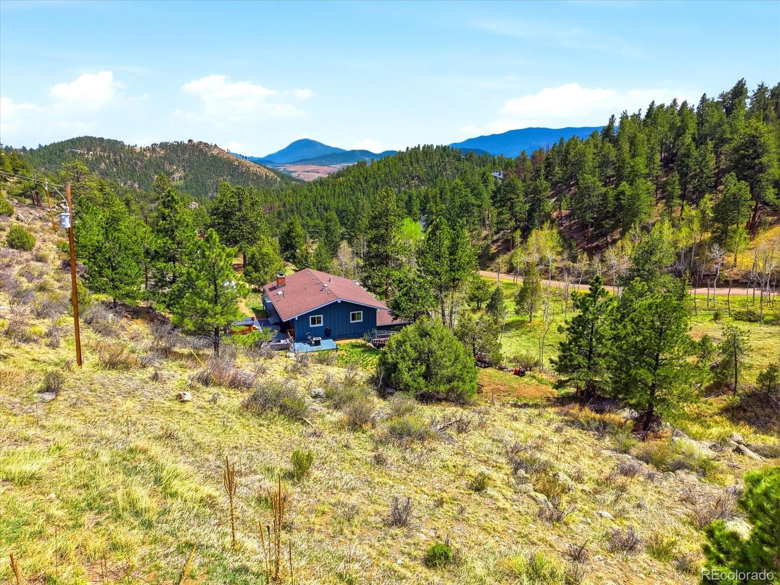 204 Bob Cat Trail Bailey CO 80421