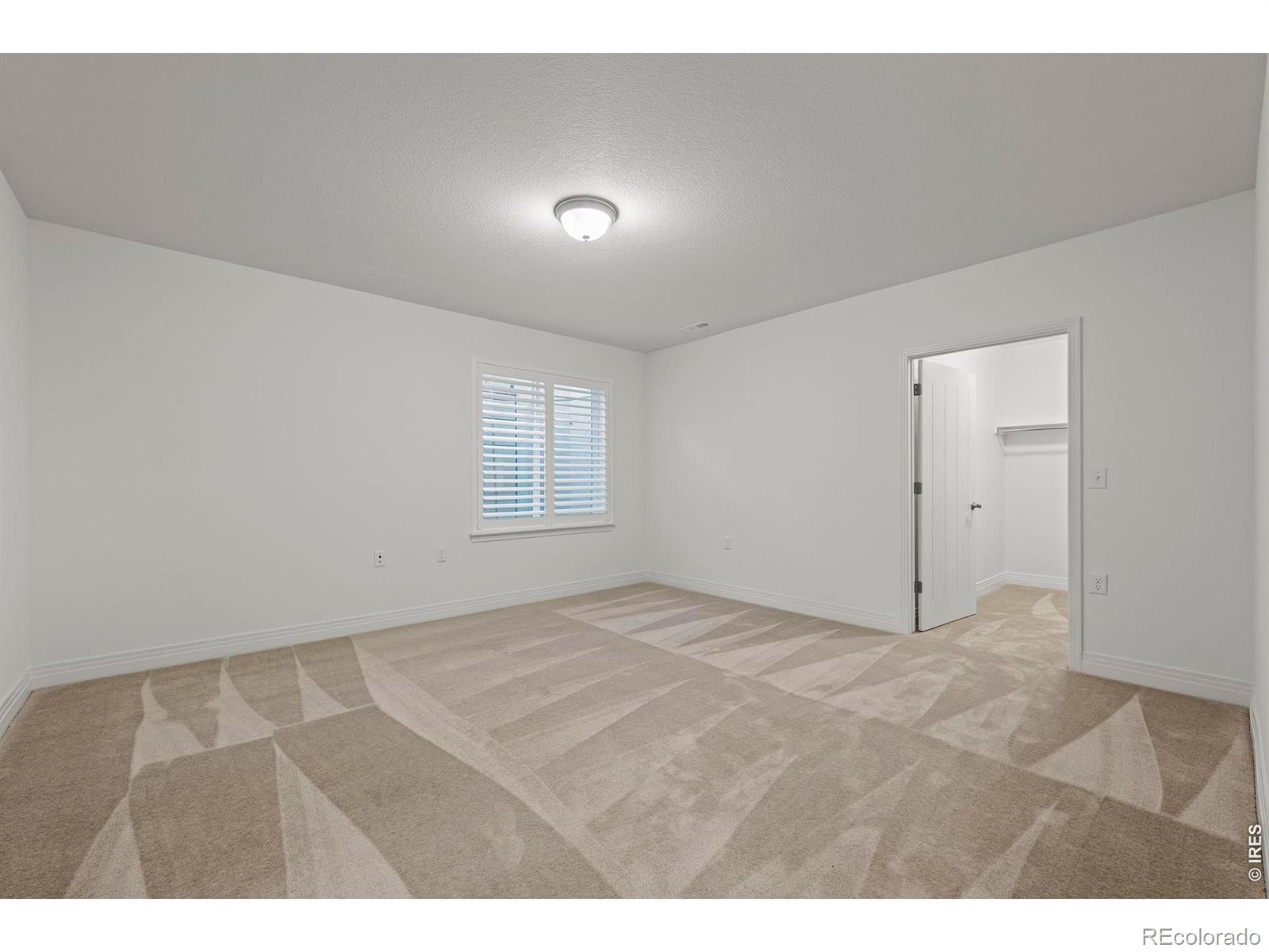 4425 Angelina Circle Longmont CO 80503