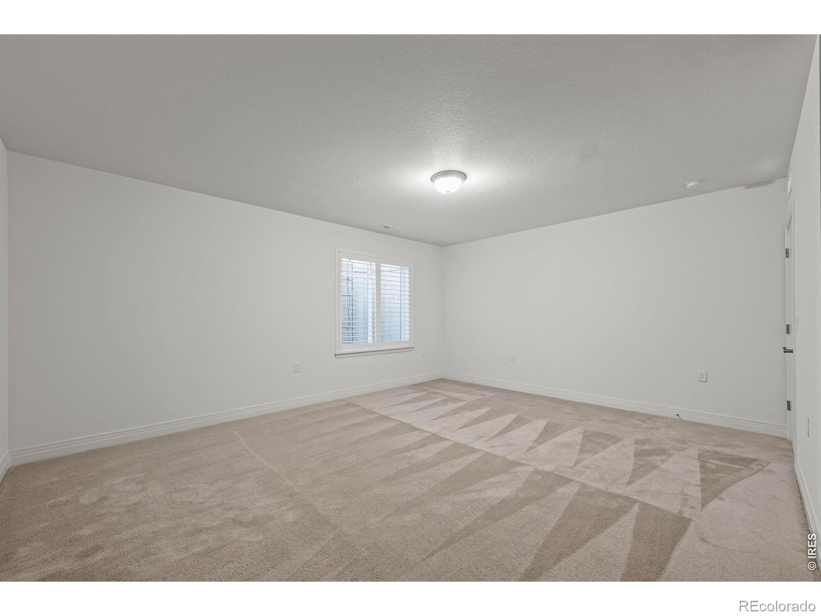 4425 Angelina Circle Longmont CO 80503