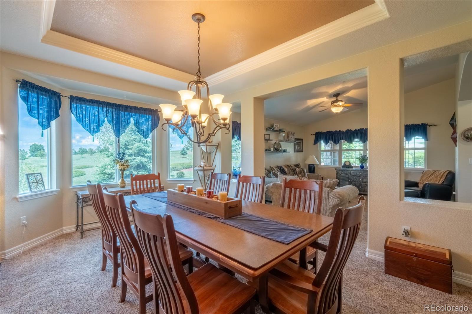 2385 Antelope Ridge Trail Parker CO 80138