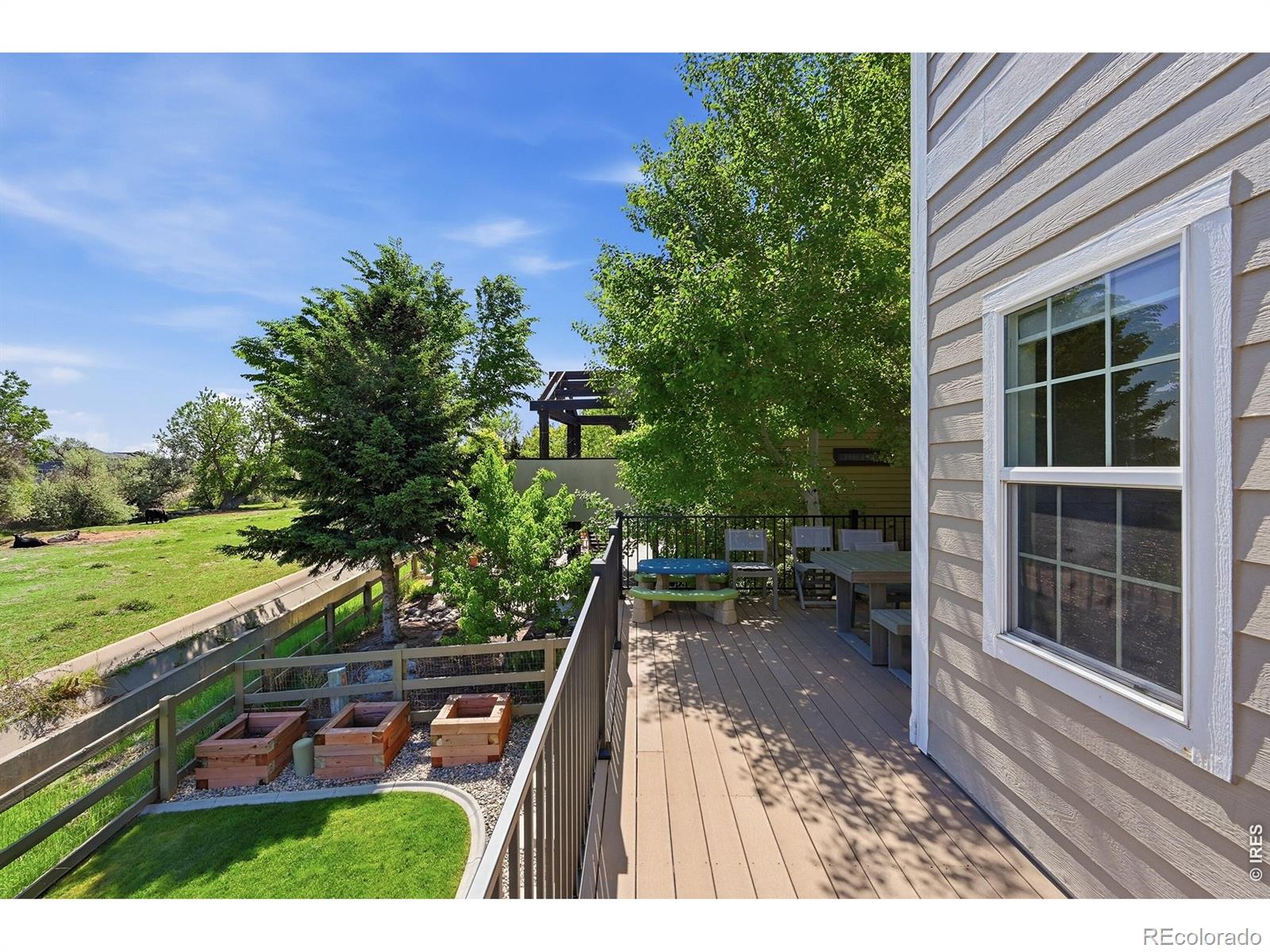 5920 Snowy Plover Court Fort Collins CO 80528