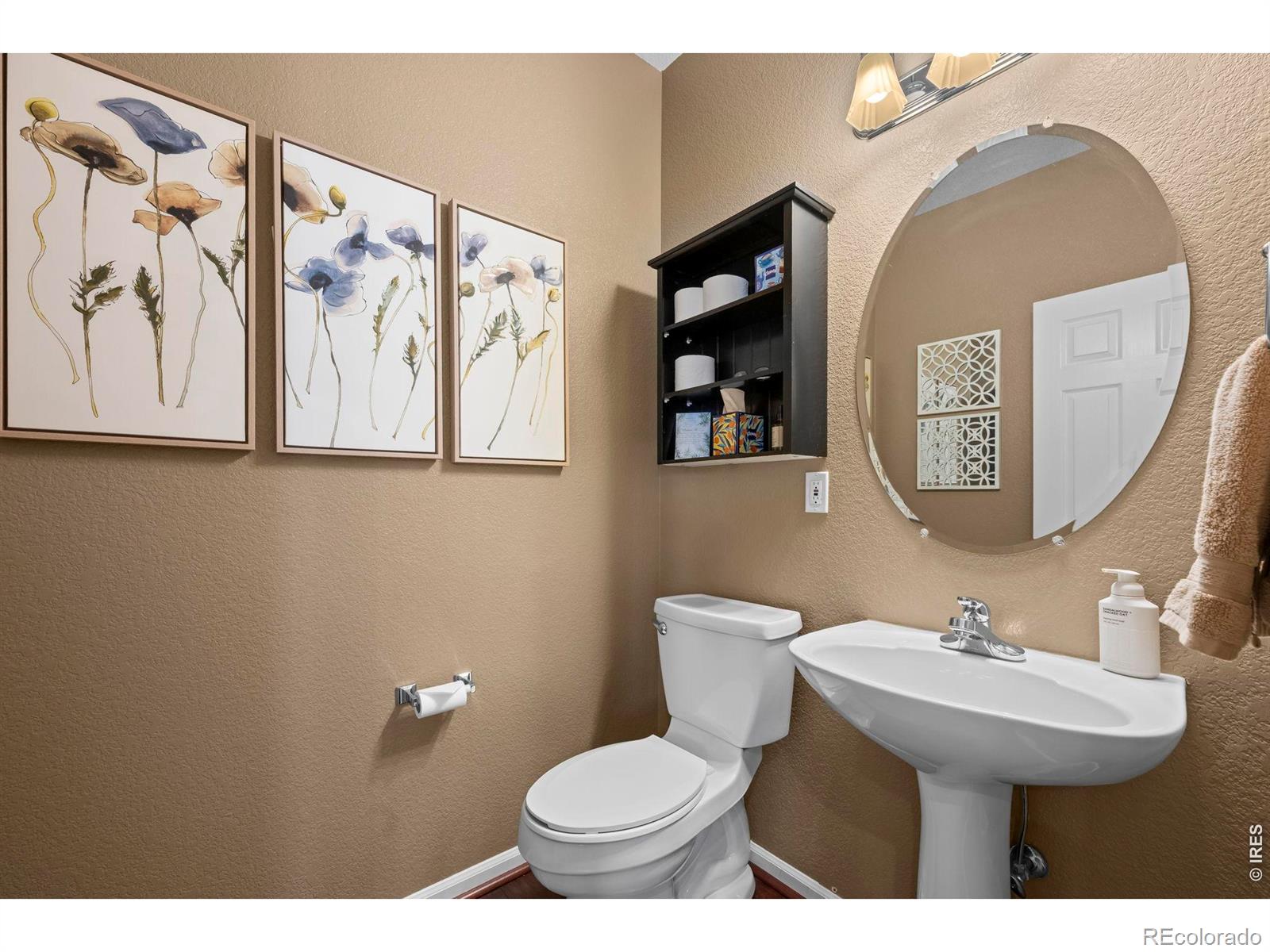 3232 Green Haven Circle Highlands Ranch CO 80126