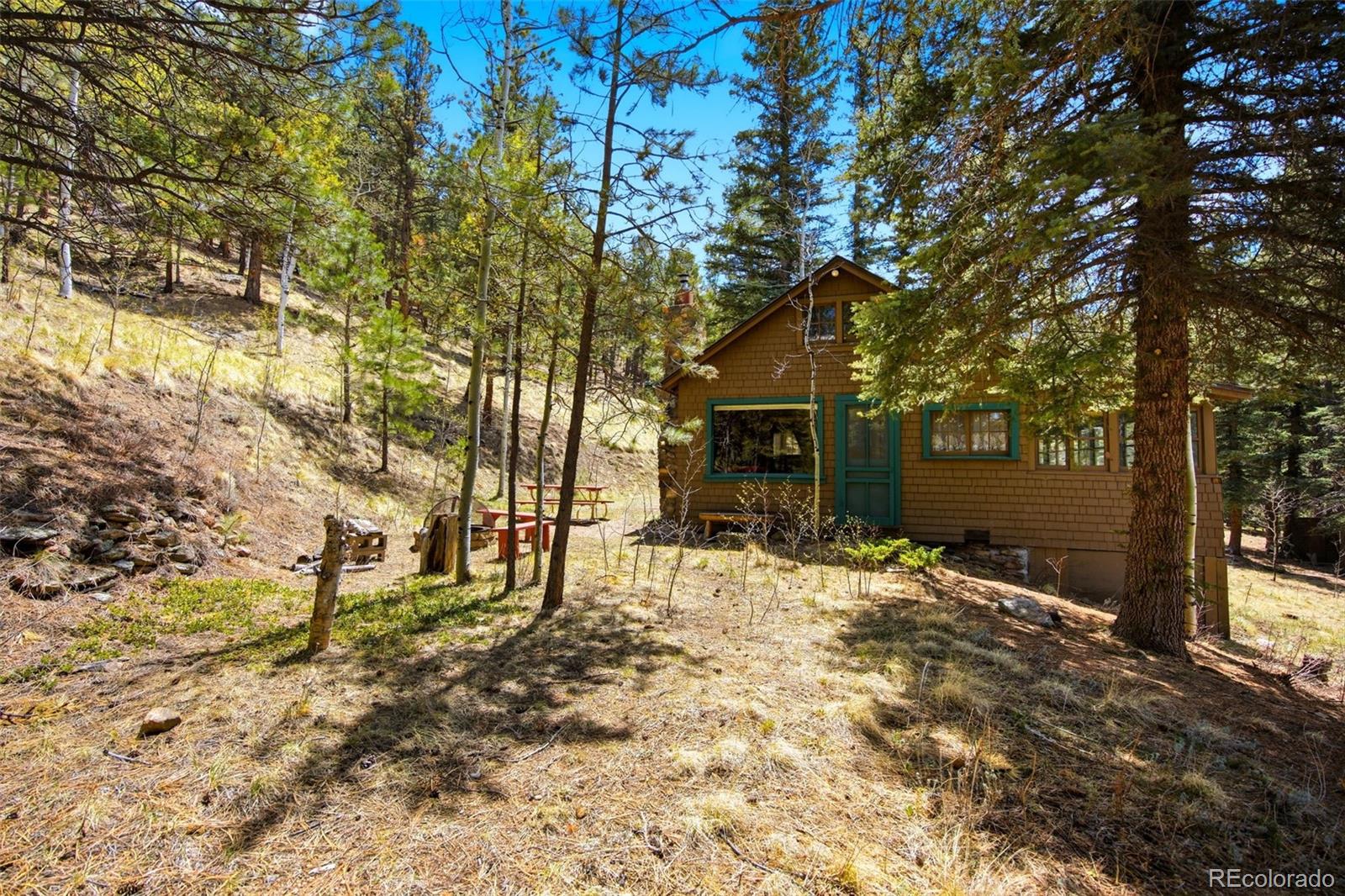 652 Payne Gulch Road Bailey CO 80421