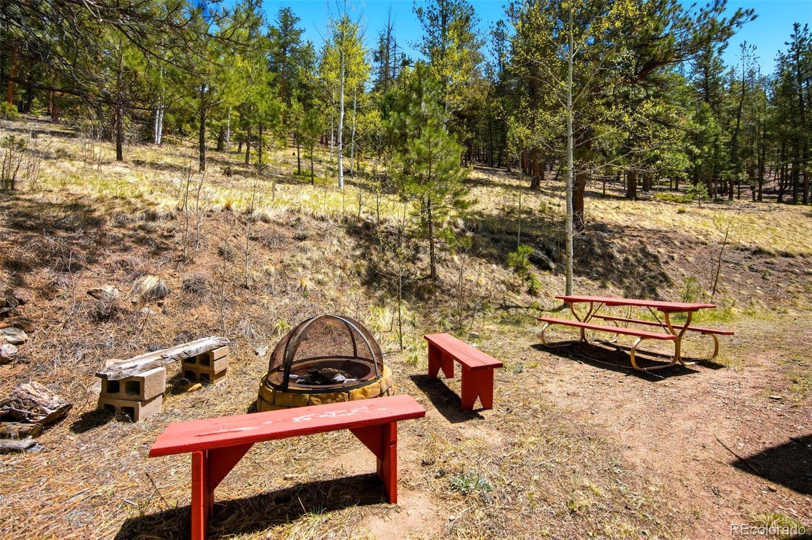 652 Payne Gulch Road Bailey CO 80421