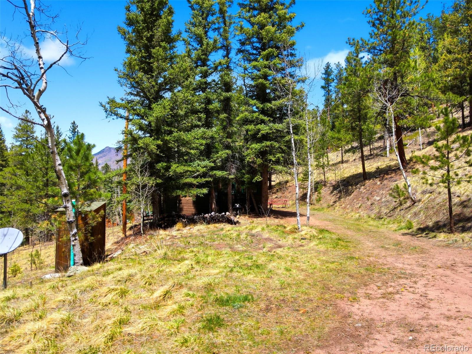 652 Payne Gulch Road Bailey CO 80421