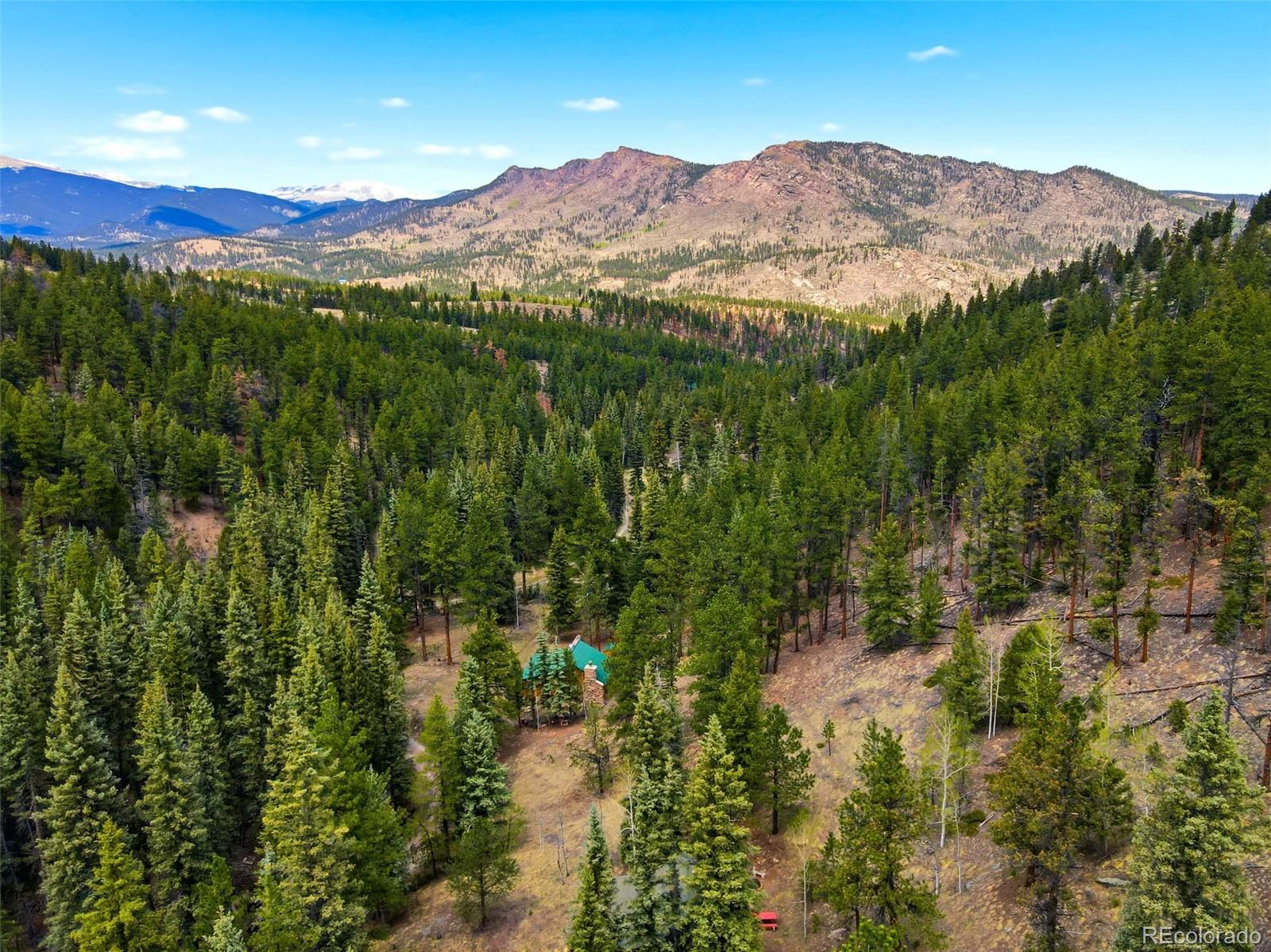 652 Payne Gulch Road Bailey CO 80421