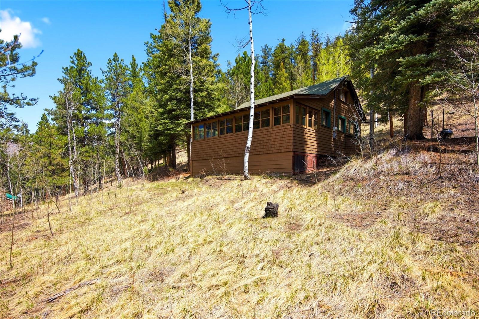 652 Payne Gulch Road Bailey CO 80421