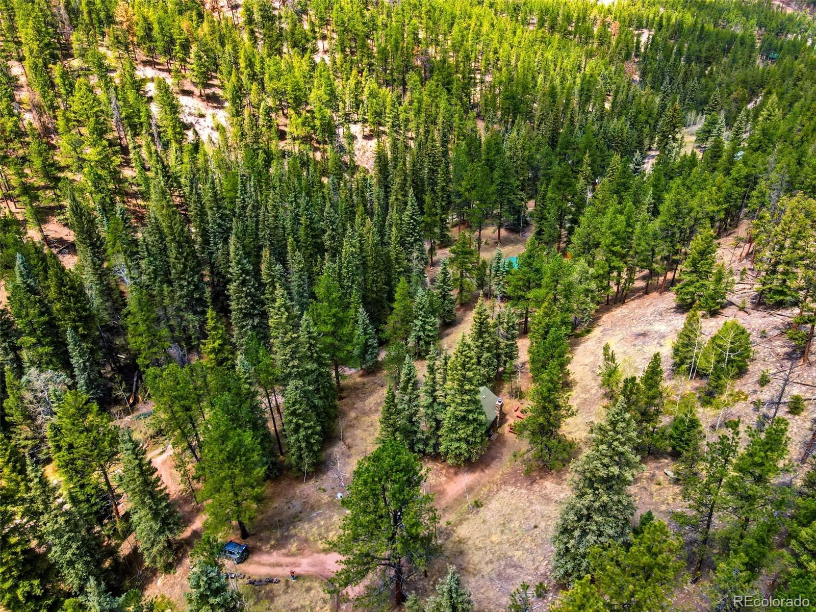 652 Payne Gulch Road Bailey CO 80421