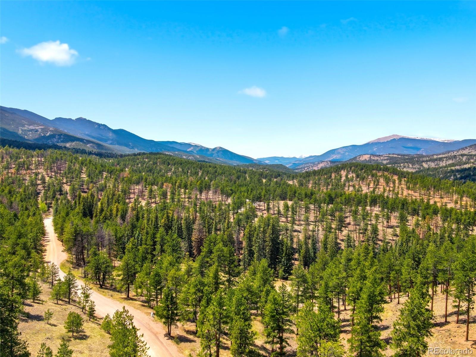 652 Payne Gulch Road Bailey CO 80421