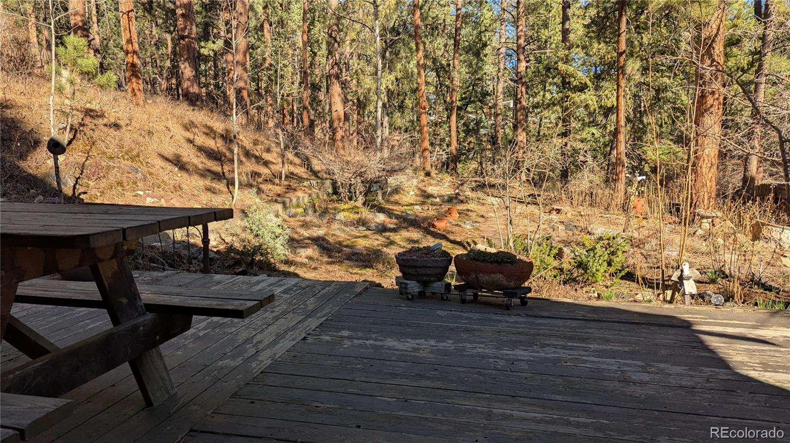 3137 Meadow View Road Evergreen CO 80439
