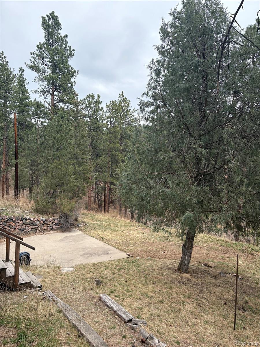 3137 Meadow View Road Evergreen CO 80439