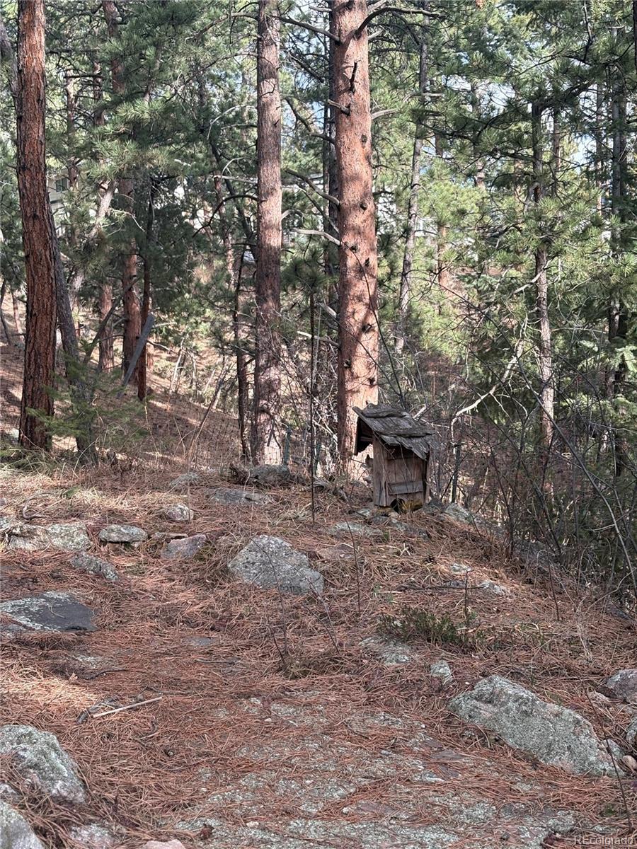 3137 Meadow View Road Evergreen CO 80439