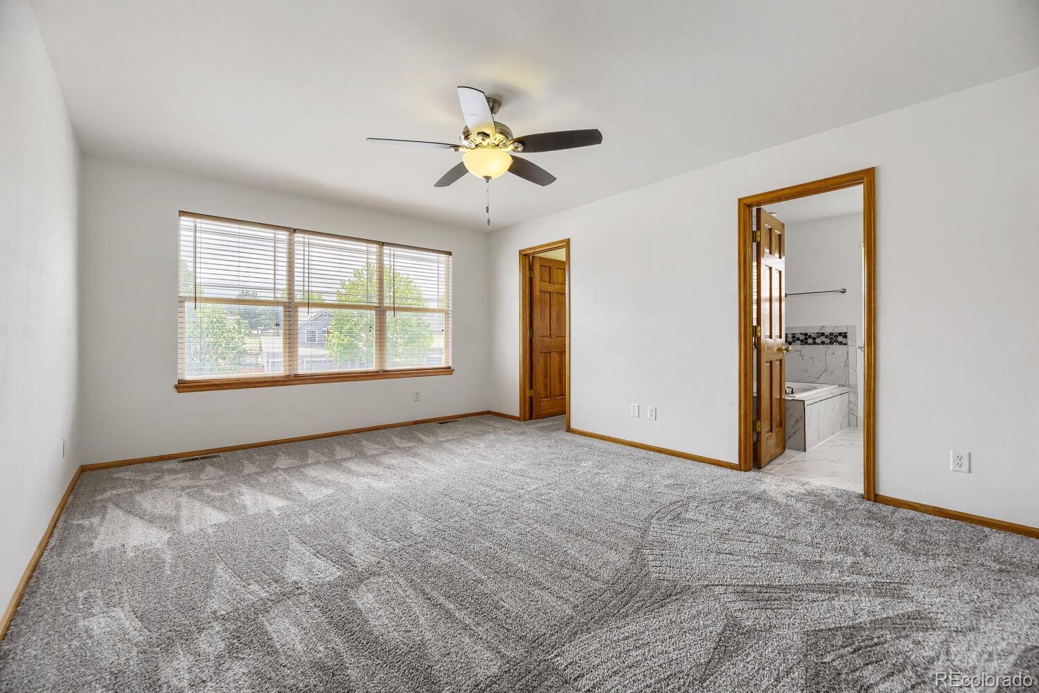 4099 Scarlet Oak Court Castle Rock CO 80109