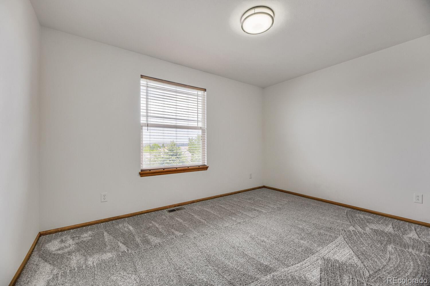4099 Scarlet Oak Court Castle Rock CO 80109