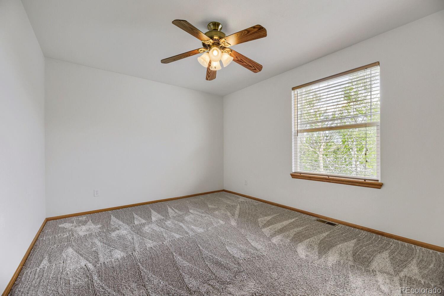 4099 Scarlet Oak Court Castle Rock CO 80109