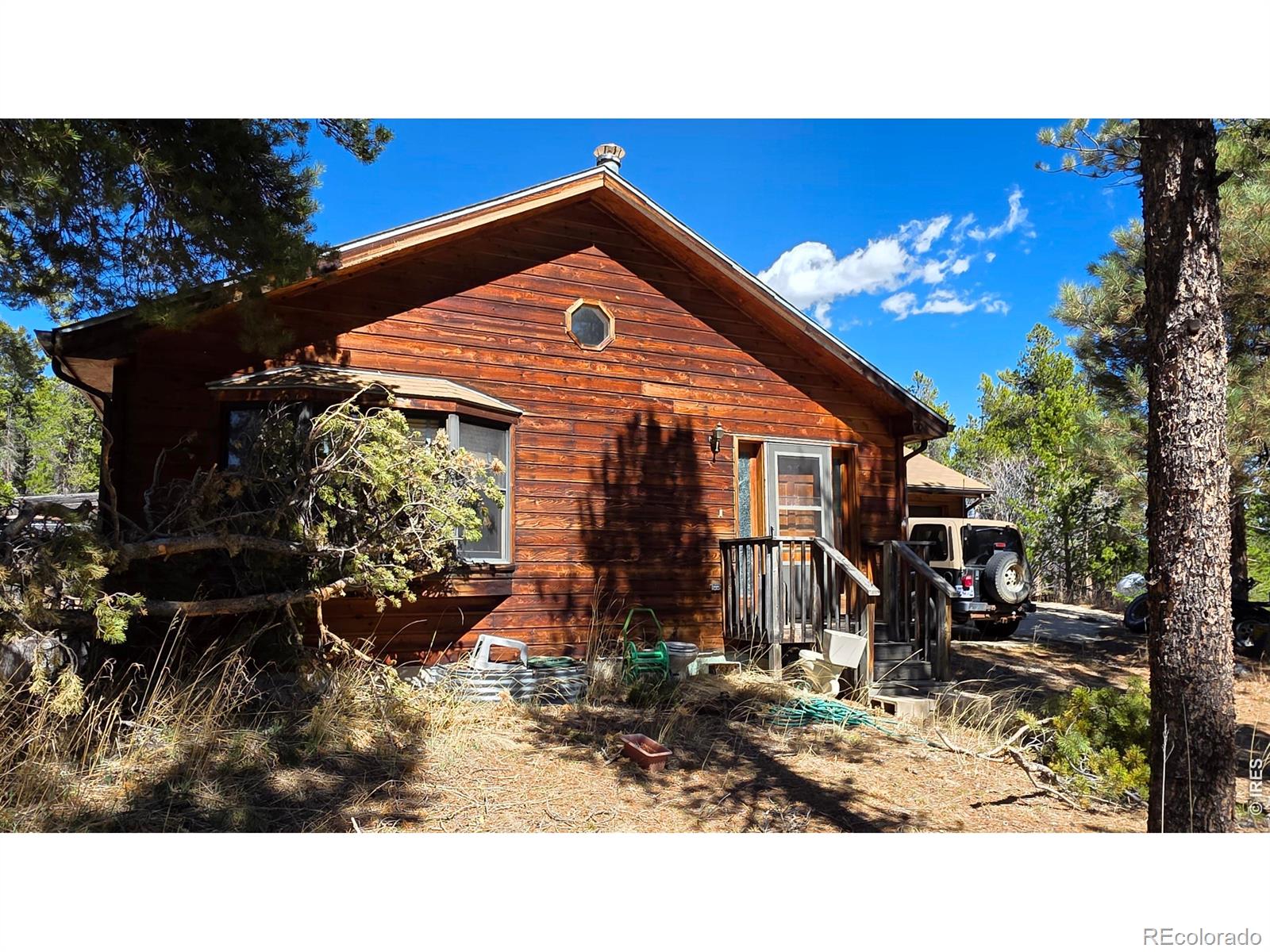 226 Pinon Way Nederland CO 80466