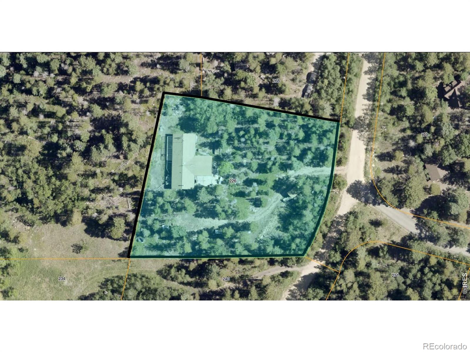 226 Pinon Way Nederland CO 80466