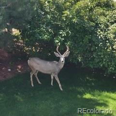 6875 S Buchanan Court Aurora CO 80016