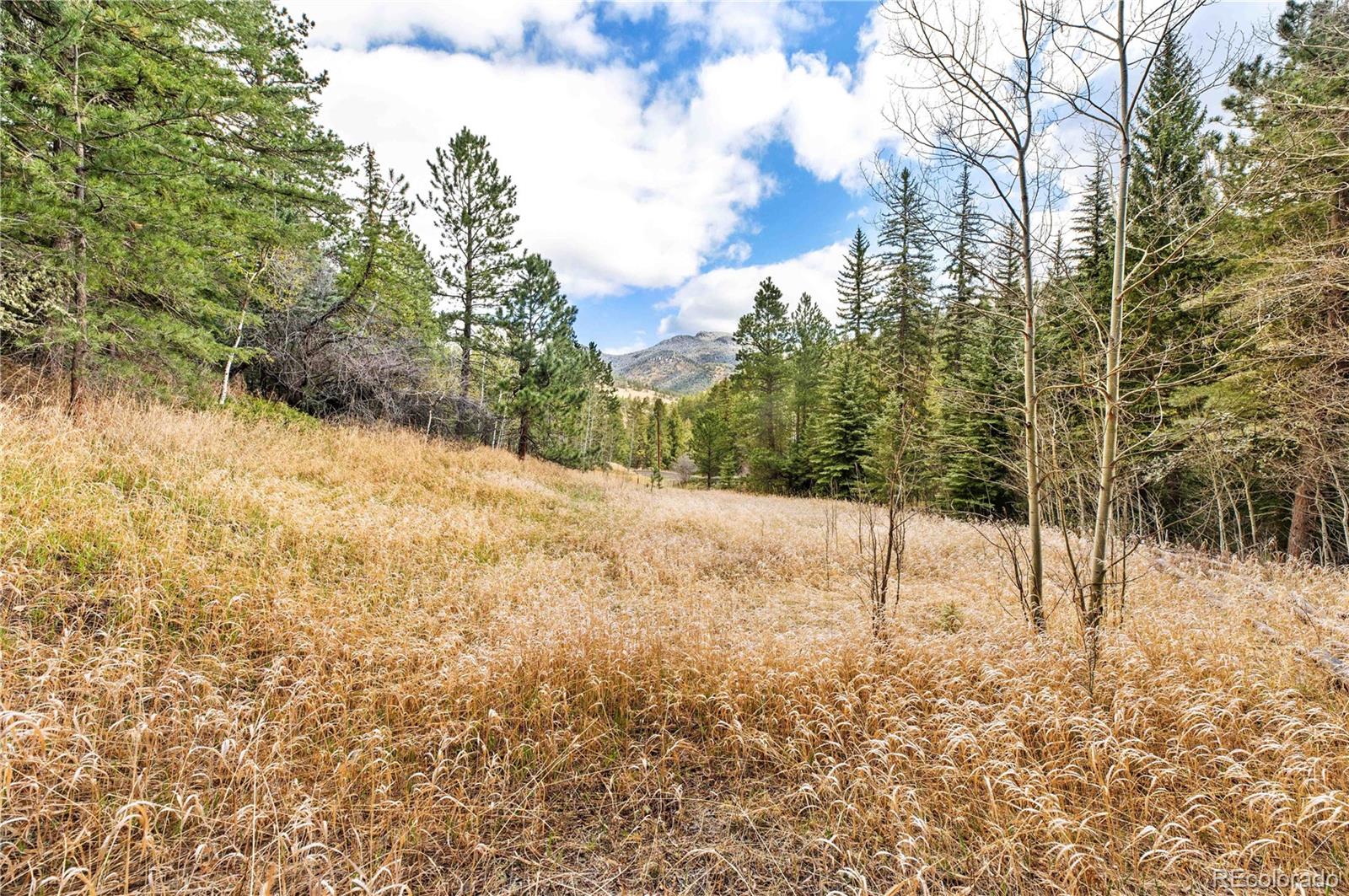 8477 Drew Hill Road Golden CO 80403