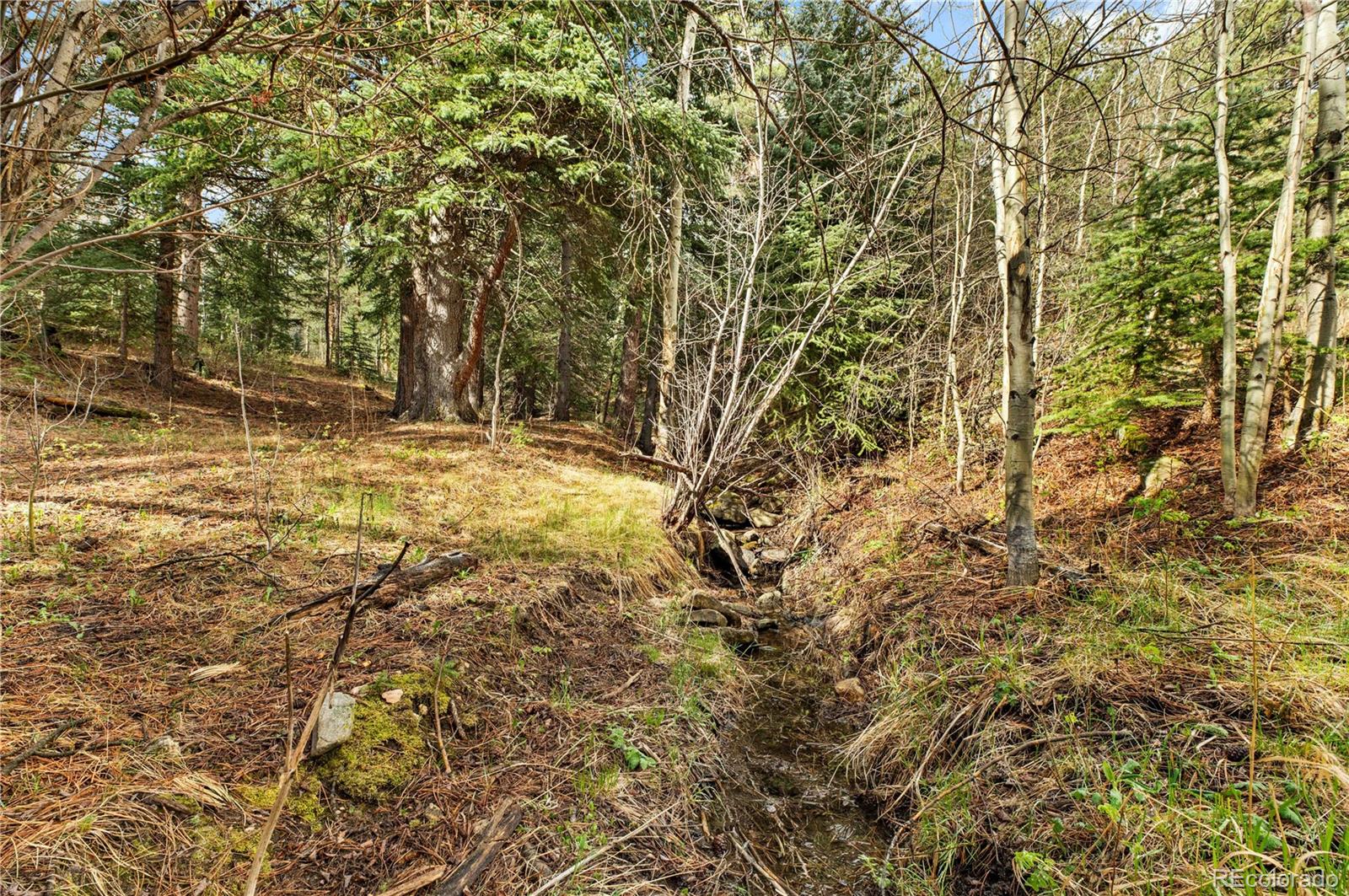 8477 Drew Hill Road Golden CO 80403