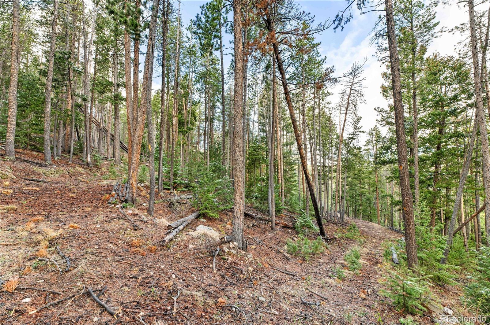 8477 Drew Hill Road Golden CO 80403