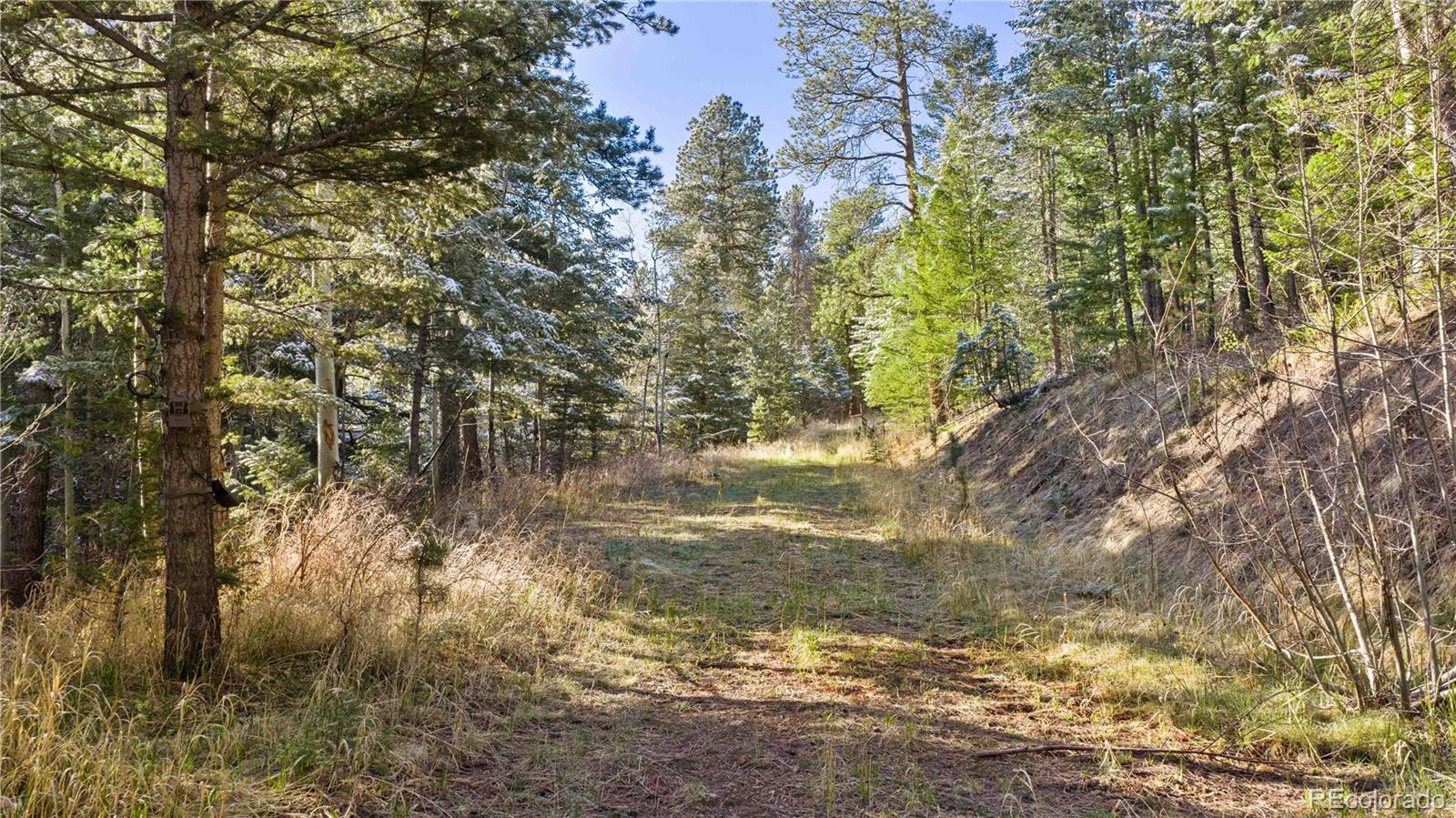 8477 Drew Hill Road Golden CO 80403