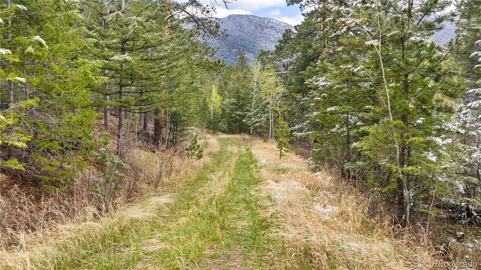8477 Drew Hill Road Golden CO 80403